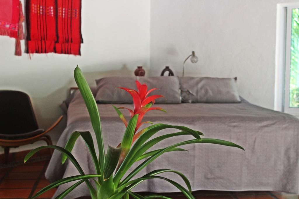 Hotel Que Onda Akumal Extérieur photo